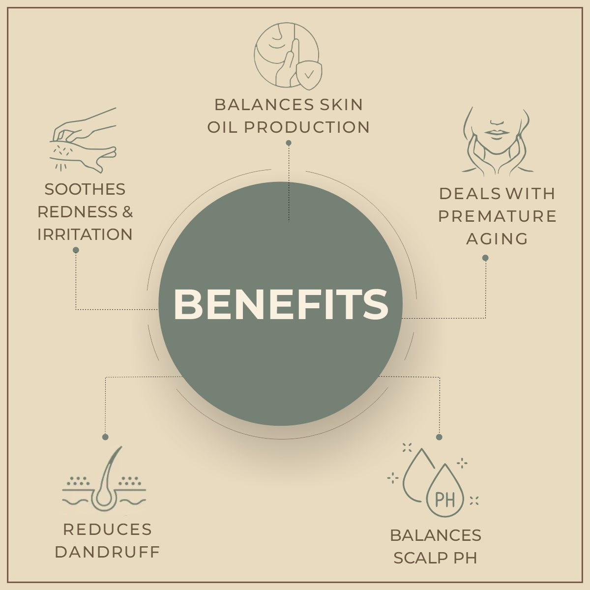 Salvia Natural Essential Oils Sage Essential Oil Salvia Natural Essential Oils Sage Essential Oil